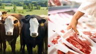 Coronavirus meat shortage needs to be investigated by DOJ, state attorneys general say