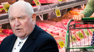 Closed meat plants told to submit reopening plans ASAP: agriculture secretary