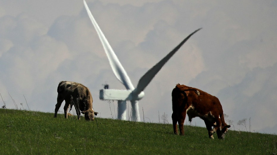 wind turbine kansas
