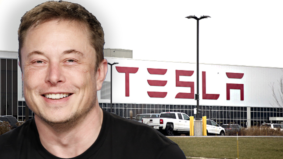 Elon Musk and Tesla's factory