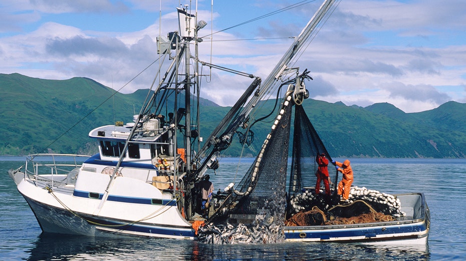 Commercial Salmon fishing