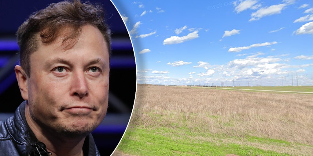 Musk defends Tesla as Texas county considers millions in tax breaks to land 'gigafactory'
