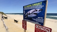 Cape Cod officials warn of white sharks ahead of July Fourth