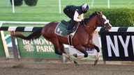 Tiz the Law is class of Belmont field, Triple Crown favorite