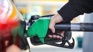 US gas prices rise as states reopen
