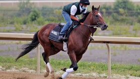 Belmont Stakes under pressure as pandemic whips ticket, casino revenue