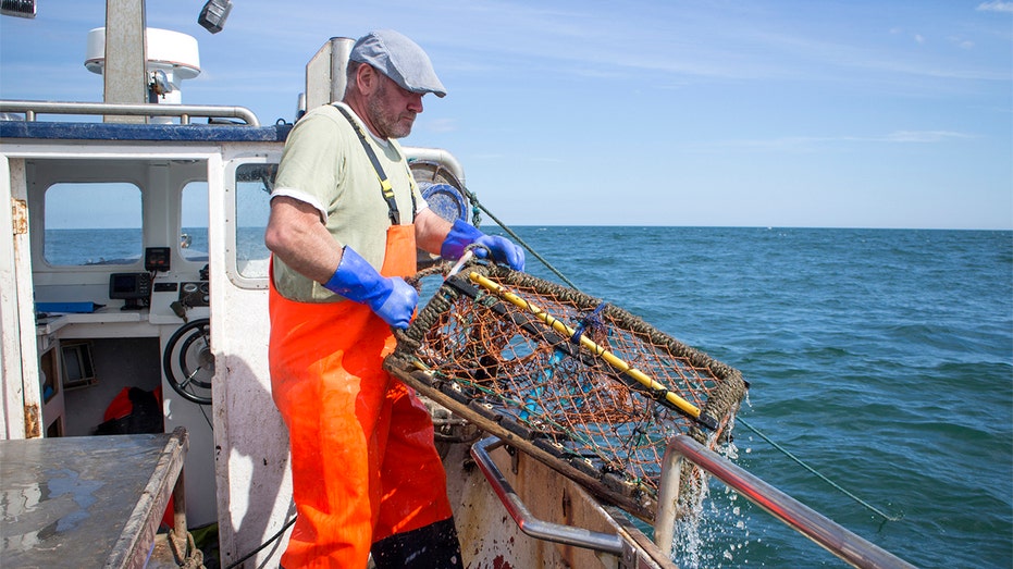 lobster fishermen 