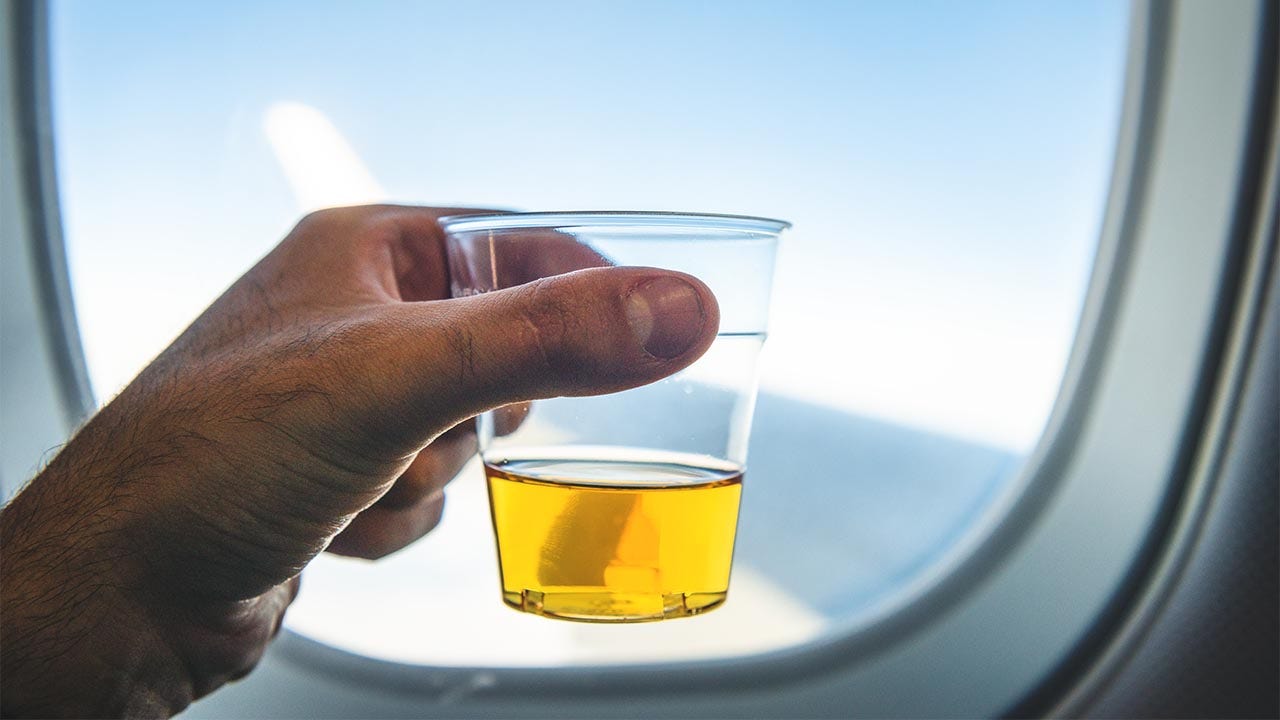 american airlines wine carry on