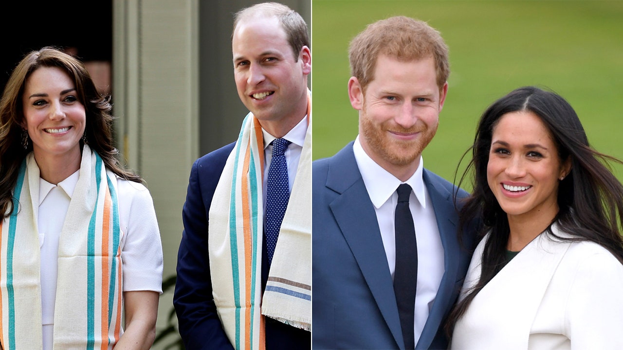 Prince Harry Prince William To Divide Princess Diana S Memorial Funds Fox Business