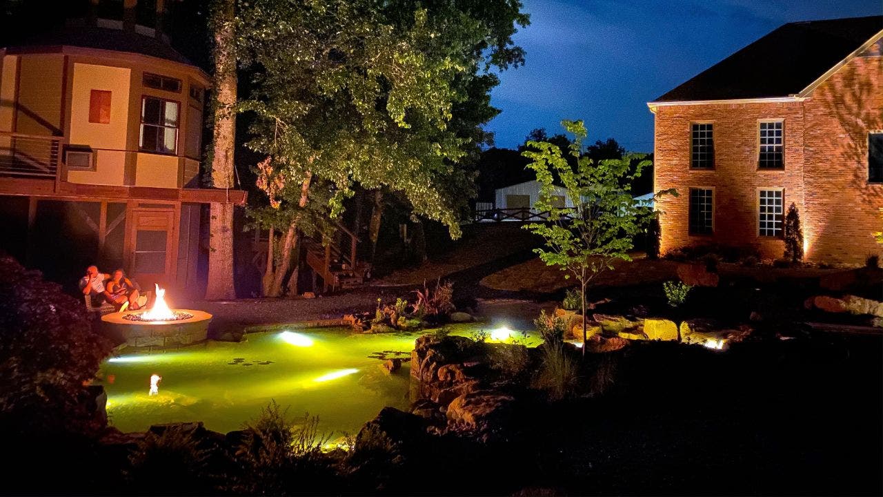 Shaq Joins Coronavirus Driven Koi Pond Trend Fox Business
