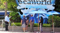 SeaWorld attendance takes big hit after coronavirus reopening