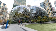 Amazon met with startups about investing, then launched competing products