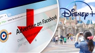 Disney slashed ad spending on Facebook amid growing boycott