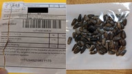 Americans receive mystery seeds in the mail, mostly from China