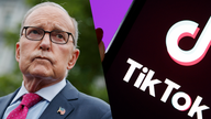 TikTok responds to Kudlow's suggestion it could operate as U.S. company