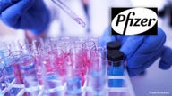 Pfizer study suggests vaccine works against virus variant