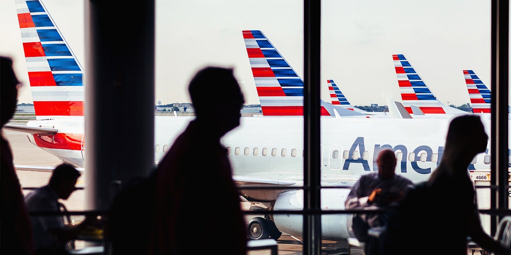 American Airlines sues online publisher, host over fake website - Vimarsana News