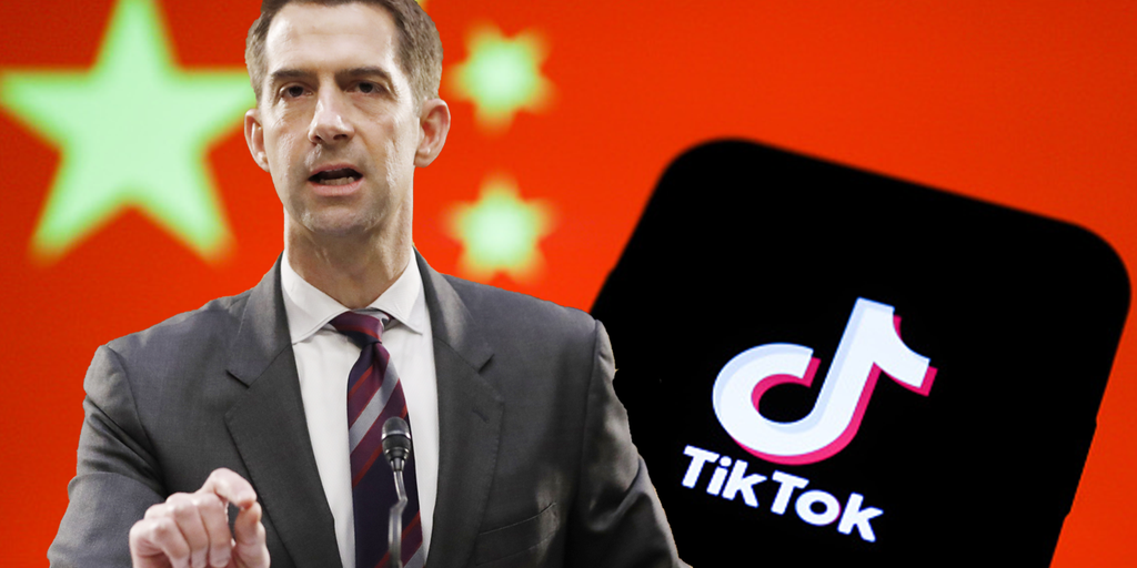 Cassidy, Cotton blast Biden for allowing Chinese-owned TikTok to be founding sponsor of US Cyber Games - Vimarsana News