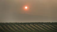 Wildfires, drought can't stop California wine country’s hot real estate market