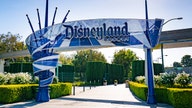 California judge dismisses Disneyland minimum wage lawsuit