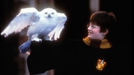 'Harry Potter and the Sorcerer's Stone' hits $1 billion at box office 19 years after release due to COVID-19