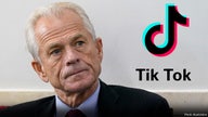 Whoever buys Tiktok will not be able to transfer data from American soil to Chinese servers: Navarro