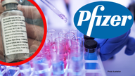 Pfizer to seek FDA sign-off today for emergency COVID-19 vaccine usage