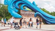 SeaWorld attendance declines, revenue plunges 95% amid coronavirus pandemic