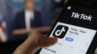 TikTok to challenge Trump order banning transactions with the app