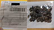 US Postal Service is urged to stop delivering mysterious seeds