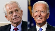 US lost jobs because Biden loves 'made in China': Navarro