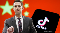 Cassidy, Cotton blast Biden for allowing Chinese-owned TikTok to be founding sponsor of US Cyber Games