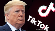 Trump OK with Microsoft buying TikTok, says app will close Sept. 15 if no acquisition
