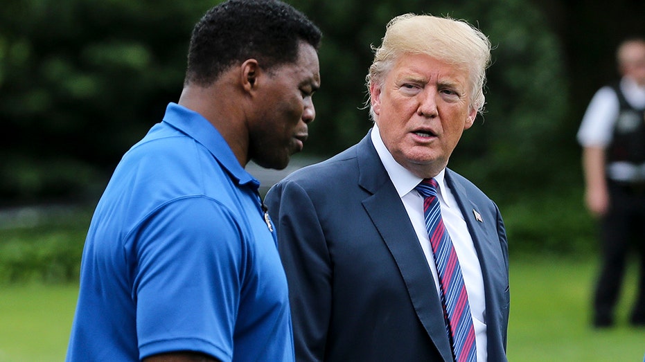 Herschel Walker Praises Trump's Character, Defends NFL Anthem Protest ...