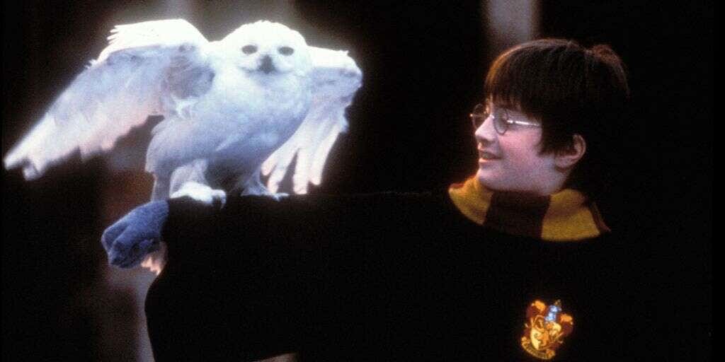 Harry Potter roleplaying video game unveiled by Warner Bros Fox Business