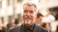 Pierce Brosnan seeking $100M for James Bond-inspired Malibu estate