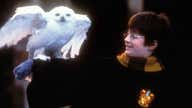 Harry Potter role-playing video game unveiled by Warner Bros