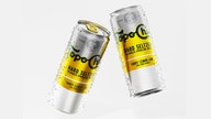 Coca-Cola to debut hard seltzer from Topo Chico brand in first half of 2021: report