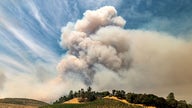 Wildfires taint West Coast vineyards with taste of smoke