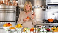 Martha Stewart launches CBD product line featuring 'gourmet-flavored' gummies and oils