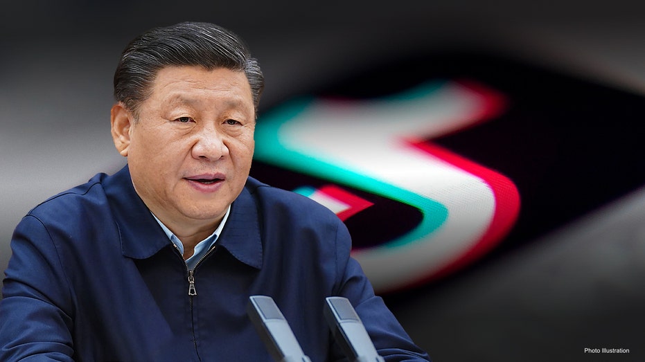 TikTok Xi JinPing