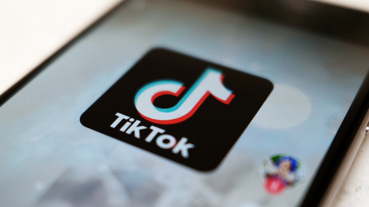TikTok testing charity fundraising option from user profiles