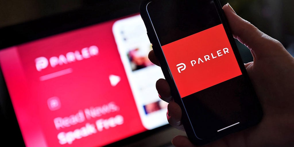 Epik says it has not discussed hosting Parler despite domain registration - Vimarsana News