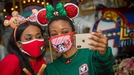 Disney unveils its holiday merchandise, has a unique 2020 item included