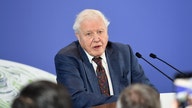 How much could Sir David Attenborough potentially earn on Instagram?