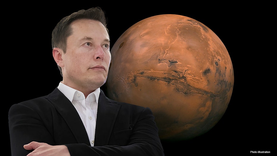 SpaceX CEO Elon Musk speaks in front of a picture of Mars.