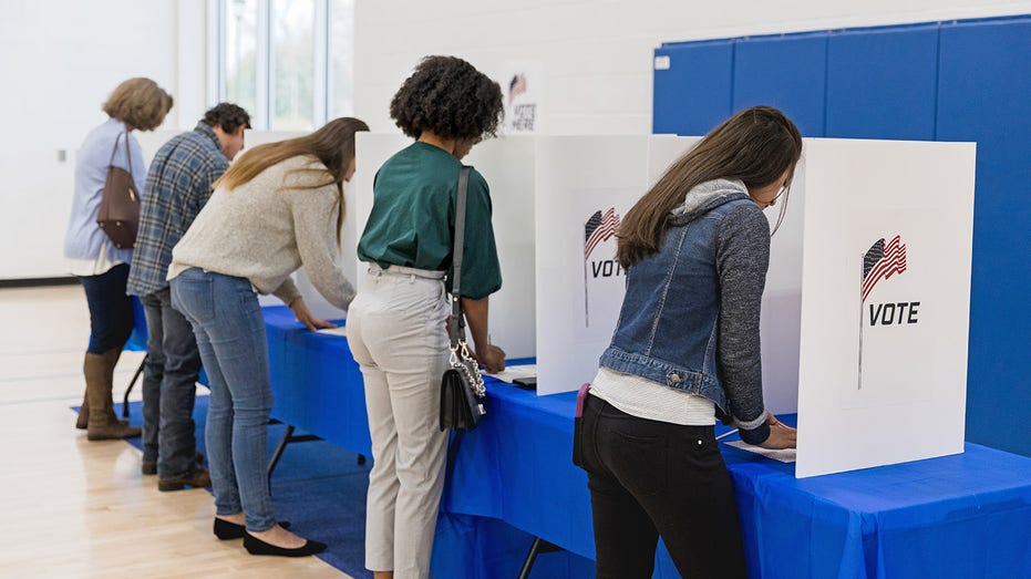 Voters at ballots