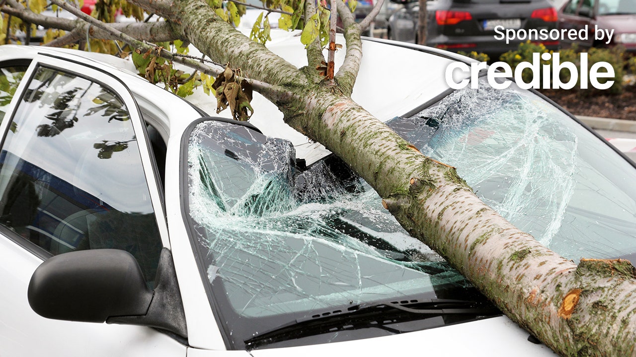 insurers insurance affordable cheapest vehicle