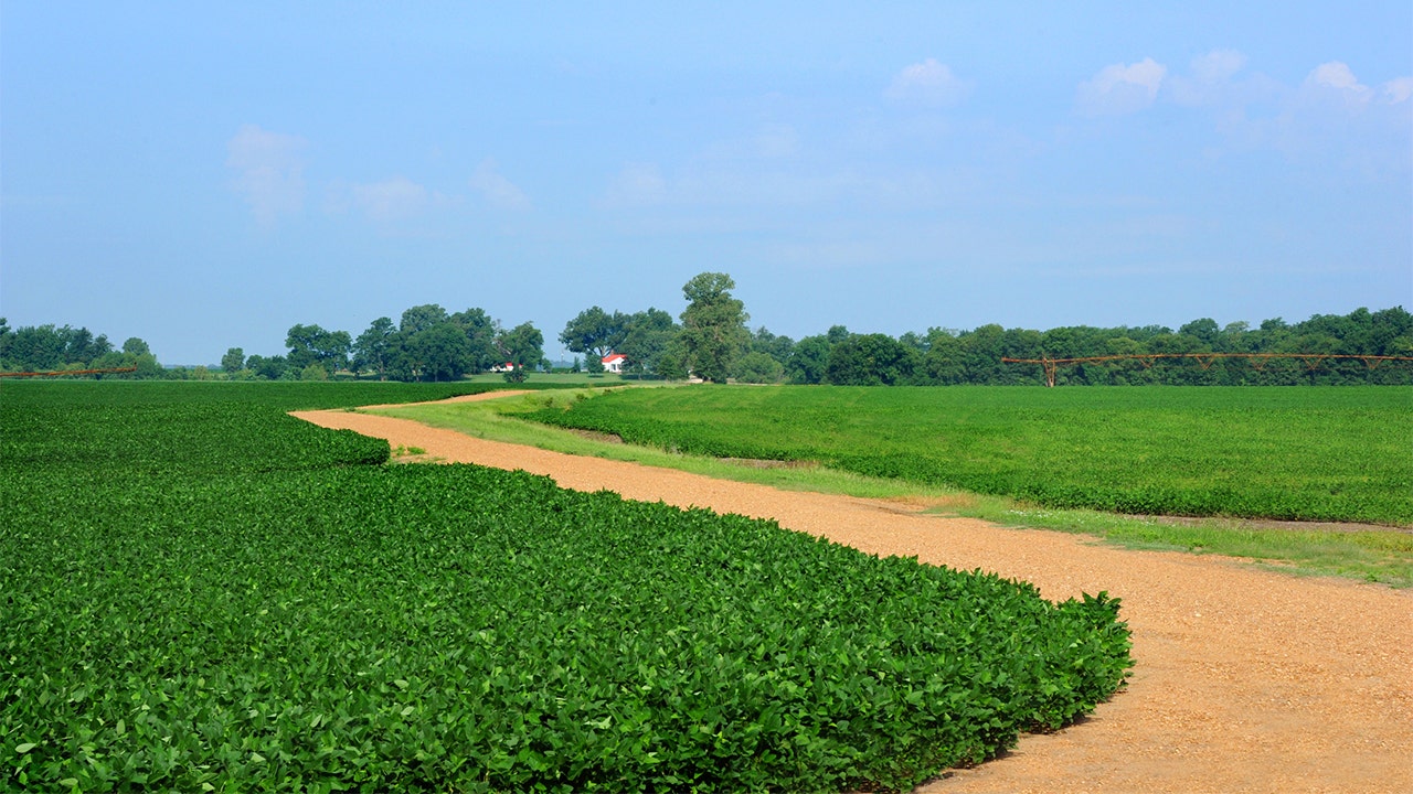 New legislation aims to tell China ‘no’ on buying up American farmland