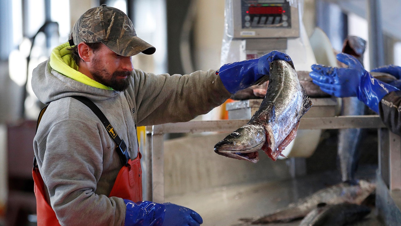 Here S Why Seafood Prices Are Soaring This Summer Fox Business<script async src=